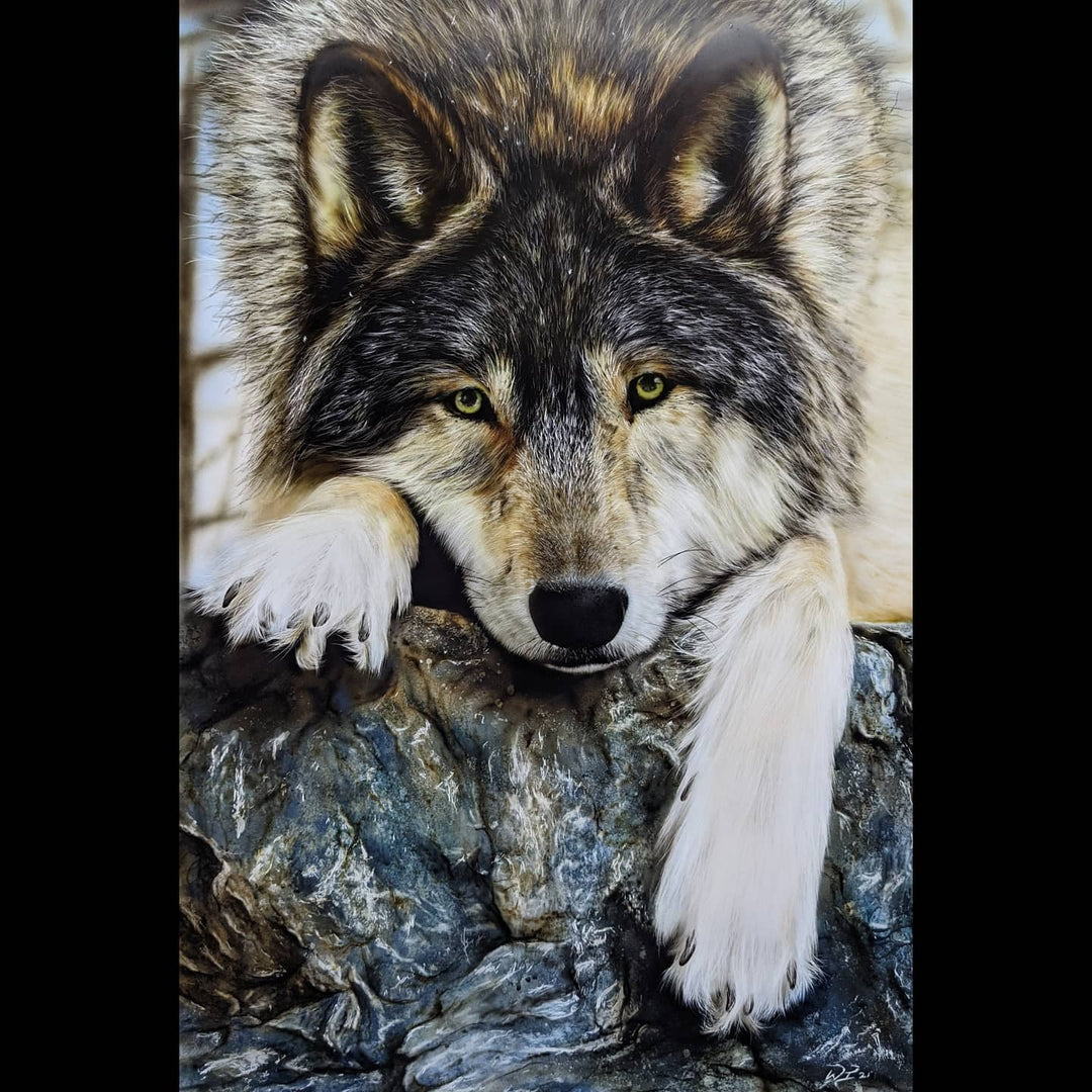 "Lone Wolf" - Ingram Art Studio